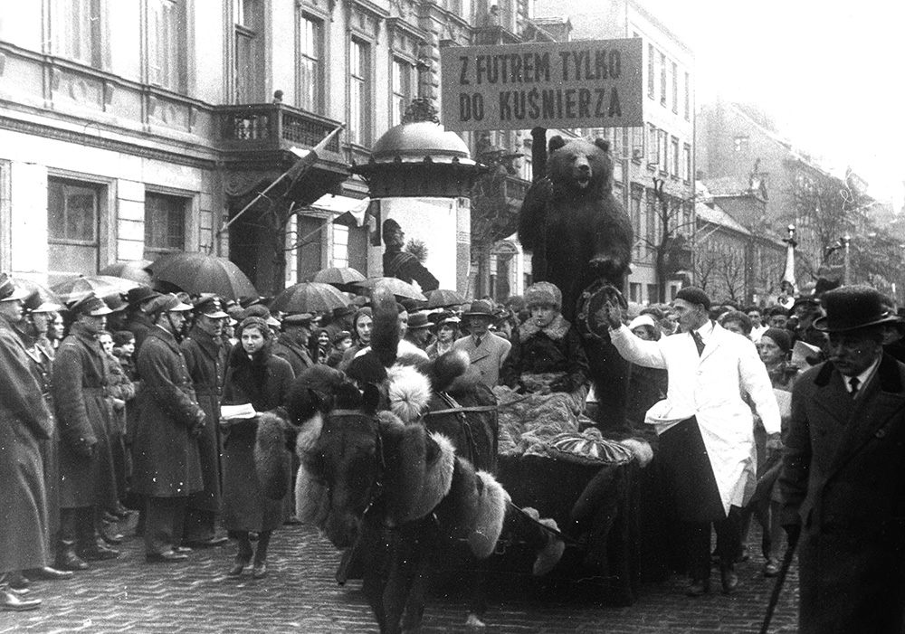 Przedstawiciele cechu kuśnierzy na platformie podczas defilady na ul. Długiej, widoczny wypchany niedźwiedź z tabliczką „Z futrem tylko do kuśnierza”, 1936, zbiory NAC